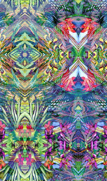 253352-多彩热带植物芭蕉花卉花朵组合