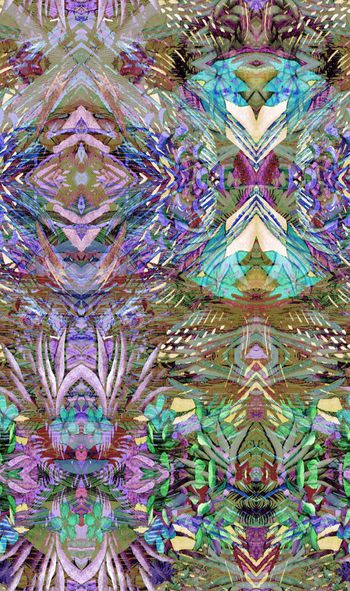 253353-多彩热带植物芭蕉花卉花朵组合