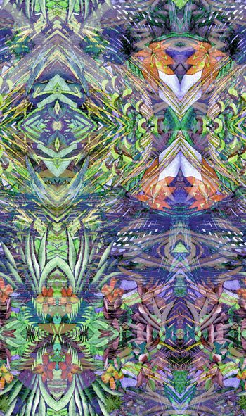 253354-多彩热带植物芭蕉花卉花朵组合