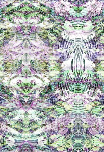 253360-多彩热带芭蕉抽象水彩效果花卉花朵组