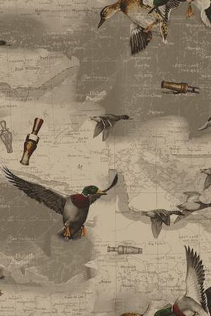 怀旧 青春 童年 鸟 动物 泛黄 回忆印花华亿平台图片