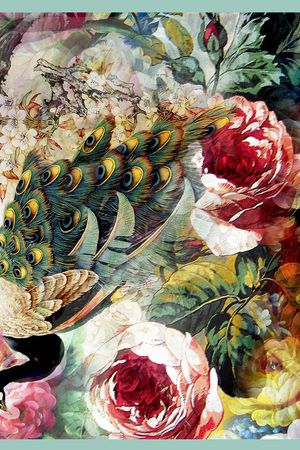 方框 方巾 孔雀 花卉 中国风印花华亿平台图片