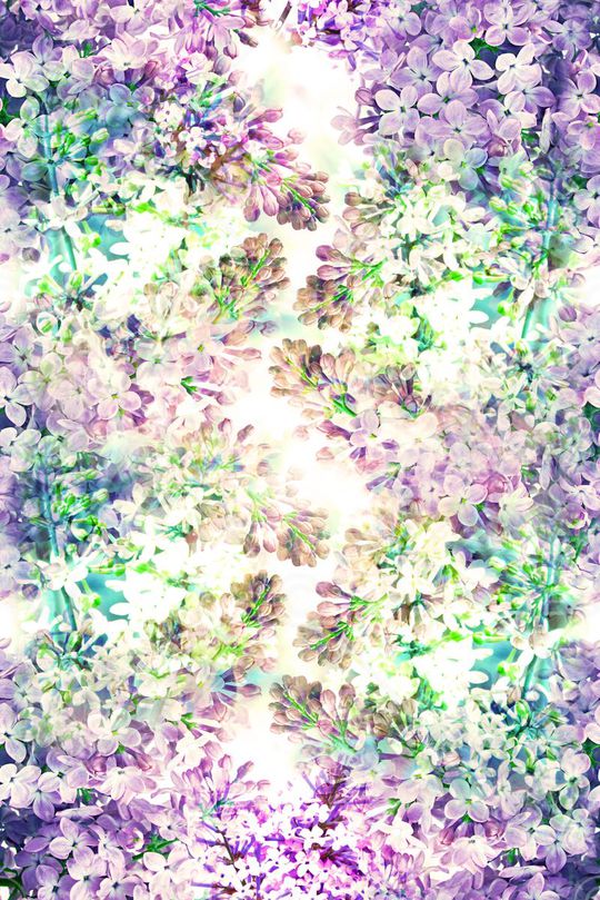 清新 淡雅 花卉 小清新 紫藤花印花华亿平台图片