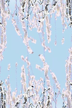 定位 梅花 桃花 花卉  写实 照片印花华亿平台图片