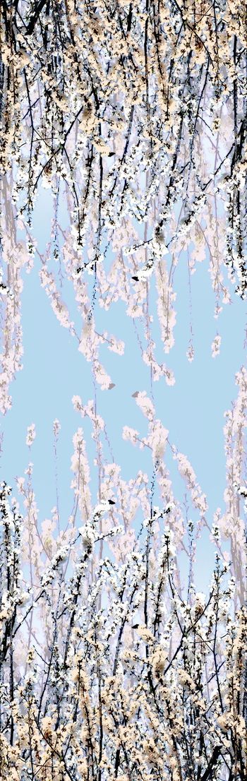 253828-双边定位梅花桃花花卉花朵组合