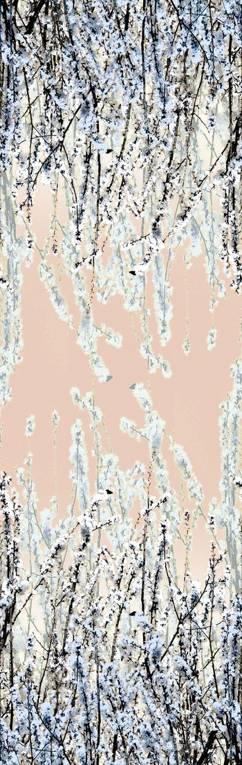 253829-双边定位梅花桃花花卉花朵组合