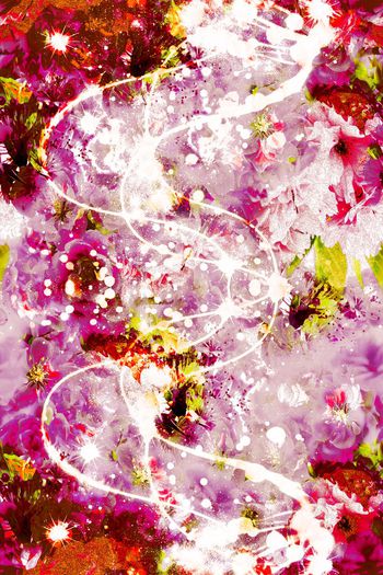 254723-细小碎颗粒花卉