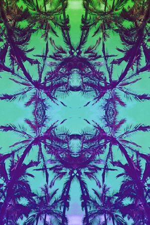 镜像 对称 热带风情 椰树 植物 风景 渐变印花华亿平台图片