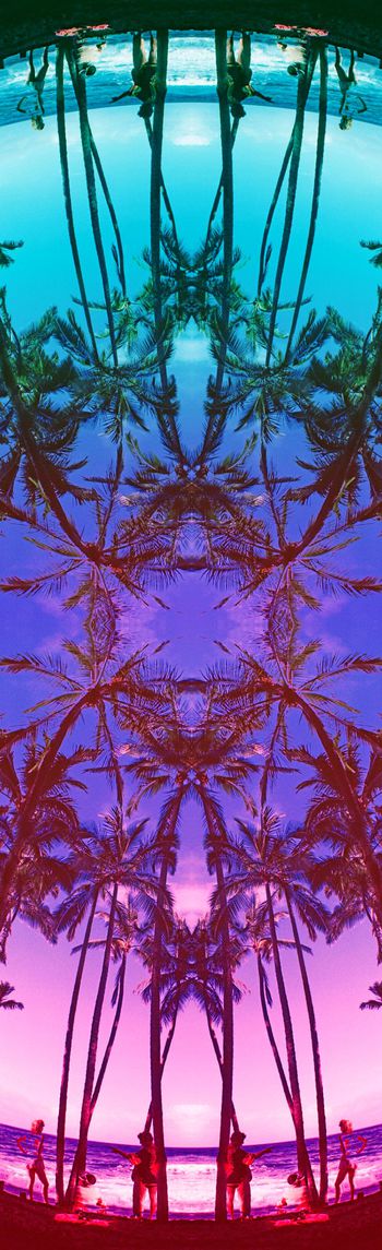 254767-渐变热带椰子树休闲风度假印花长巾