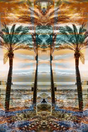 镜像 对称 热带风情 椰树 植物 方巾 风景印花华亿平台图片