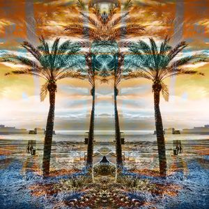 镜像 对称 热带风情 椰树 植物 方巾 风景印花华亿平台图片