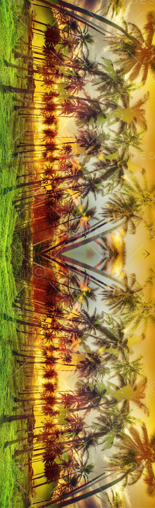 镜像 对称 热带风情 椰树 植物 长巾 风景印花华亿平台图片