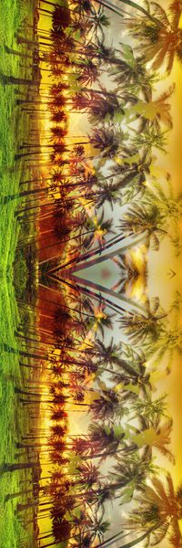 镜像 对称 热带风情 椰树 植物 长巾 风景印花华亿平台图片