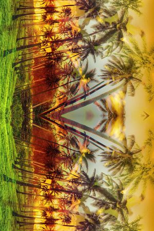 镜像 对称 热带风情 椰树 植物 长巾 风景印花华亿平台图片