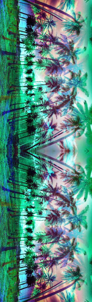 254786-椰子树休闲风度假笔触印花长巾