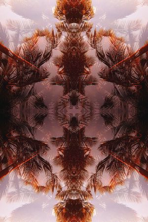 镜像 对称 热带风情 椰树 植物 长巾印花华亿平台图片