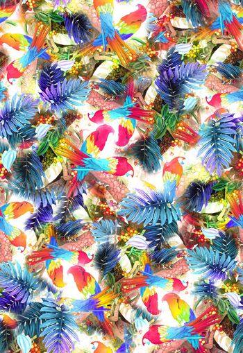 254843-多彩热带鸟花卉花朵树叶组合