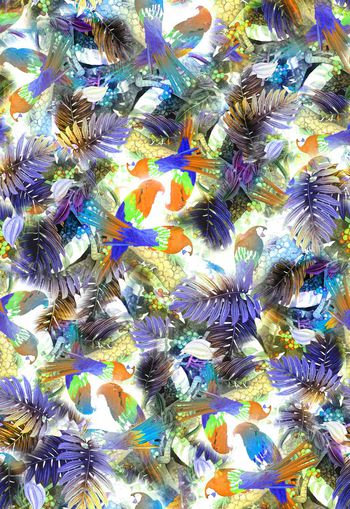 254844-多彩热带鸟花卉花朵树叶组合