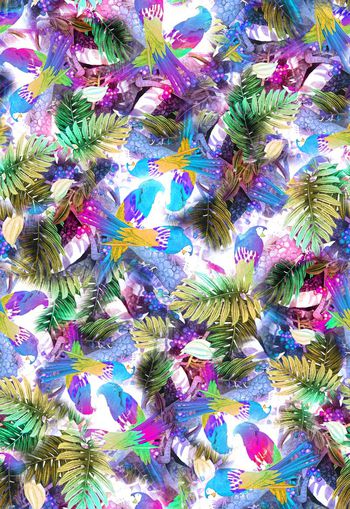 254845-多彩热带鸟花卉花朵树叶组合