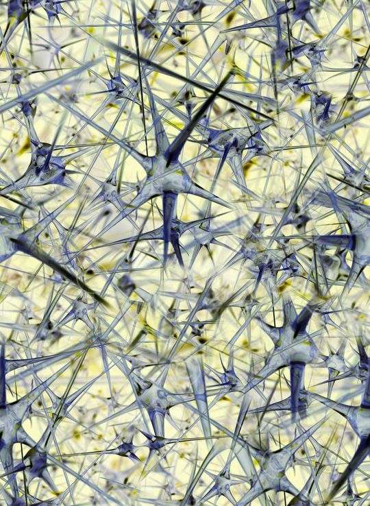 抽象 肌理 写实 照片 科技 生物印花华亿平台图片