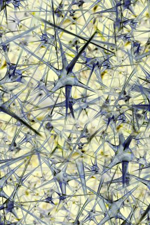 抽象 肌理 写实 照片 科技 生物印花华亿平台图片