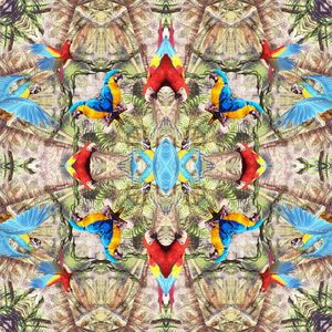 热带风情 椰子树 植物 对称 镜像 鹦鹉 鸟 方巾印花华亿平台图片