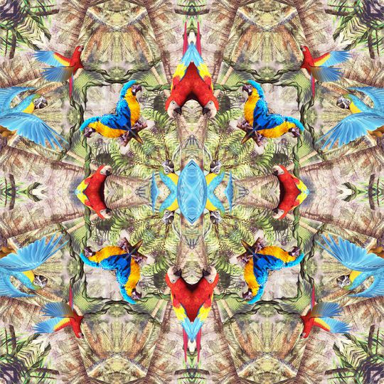 热带风情 椰子树 植物 对称 镜像 鹦鹉 鸟 方巾印花华亿平台图片