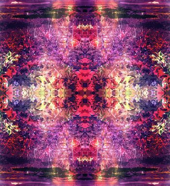 254937-夕阳下的花丛