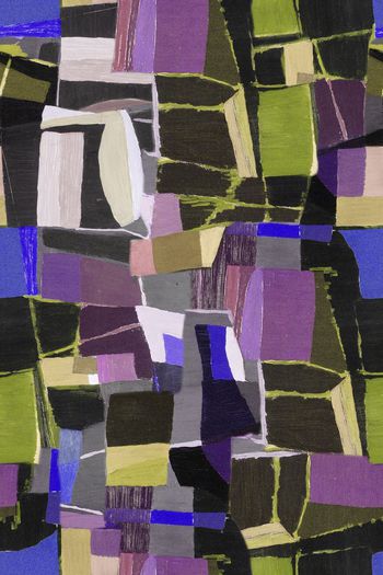 255466-BF0344数码定位服装华亿平台