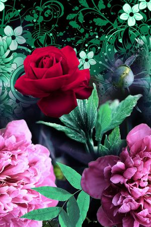 定位 写实 照片 花卉 黑底印花华亿平台图片