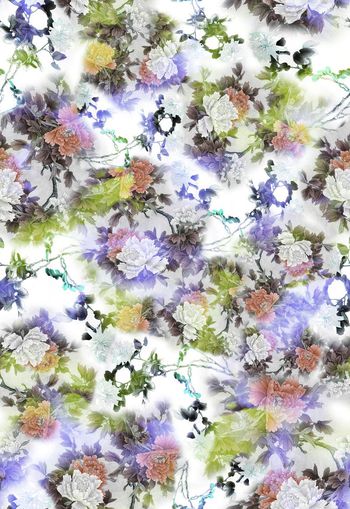 255544-多彩国画水墨花卉花朵组合