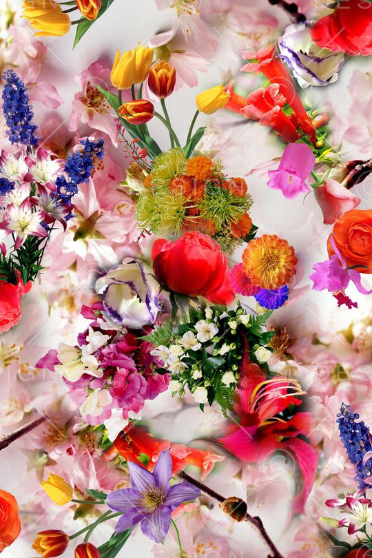 迷人花卉 炫彩 数码 写实 照片 多彩 满底印花华亿平台图片