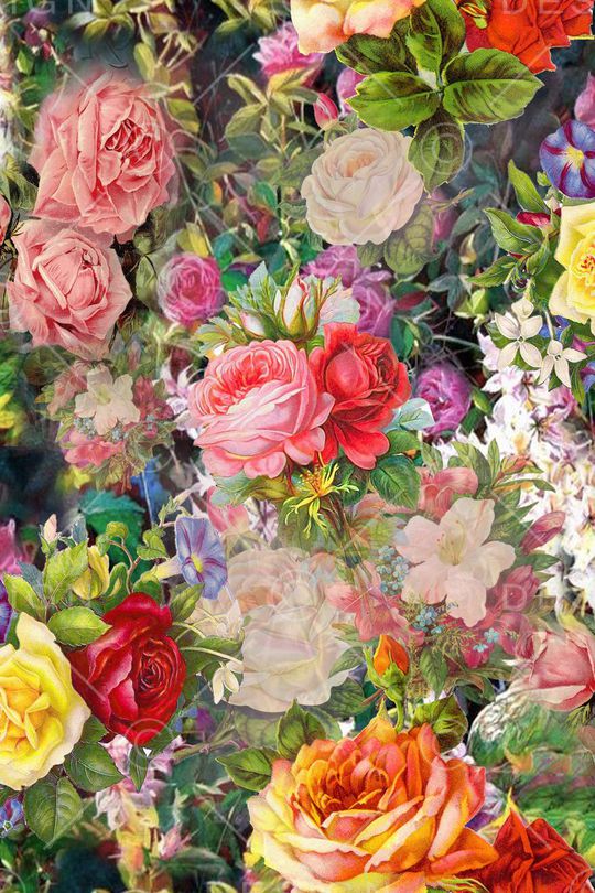 迷人花卉 炫彩 数码 写实 照片 多彩 满底印花华亿平台图片