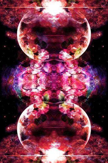 255815-地球与花卉