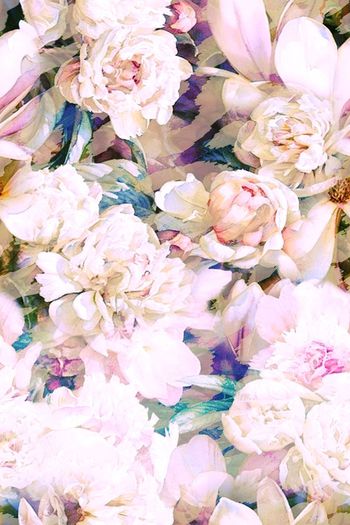 255879-柔和唯美华亿平台