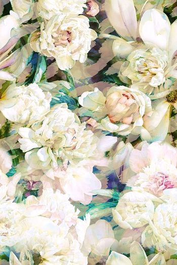 255880-柔和唯美华亿平台