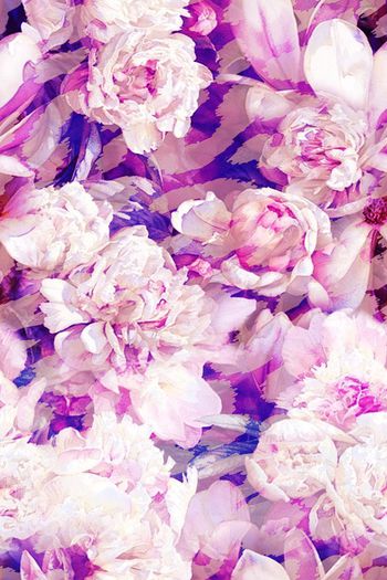 255881-柔和唯美华亿平台