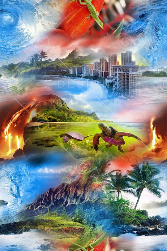 热带风情 夏威夷 海边 椰树 海景 海岛 海龟 风景印花华亿平台图片