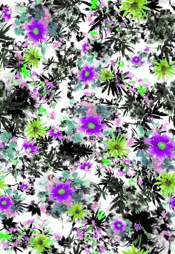 256010-多彩水彩效果花卉花朵组合