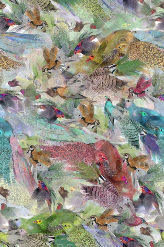 动物 小鸟 丛林 肌理印花华亿平台图片