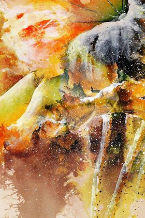 水彩 笔触 大花 荷花 荷叶 水墨 肌理 长巾印花华亿平台图片