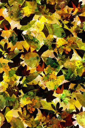 肌理 树叶 多彩 迷彩印花华亿平台图片