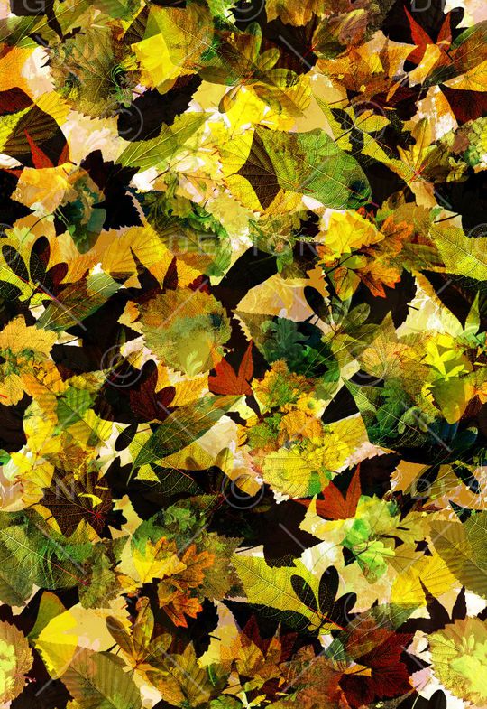 肌理 树叶 多彩 迷彩印花华亿平台图片