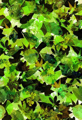 256215-朦胧树叶花朵迷彩效果