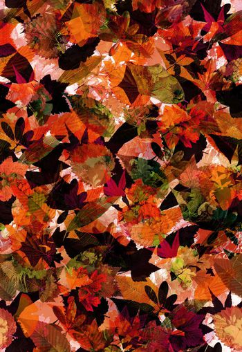 256216-朦胧树叶花朵迷彩效果