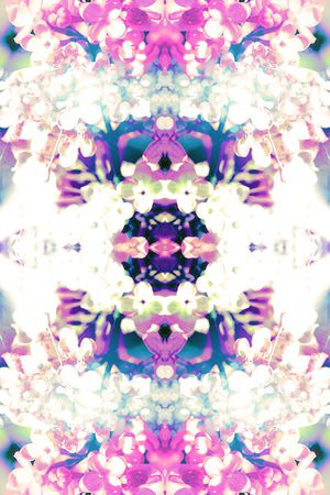 朦胧 花卉 光斑 斑点 梦幻印花华亿平台图片