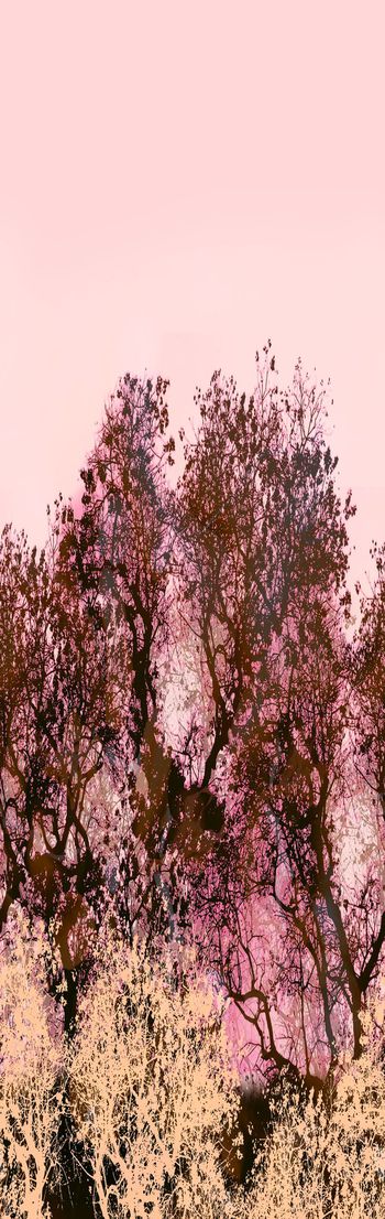 256342-单边定位树木树林渐变照片印花