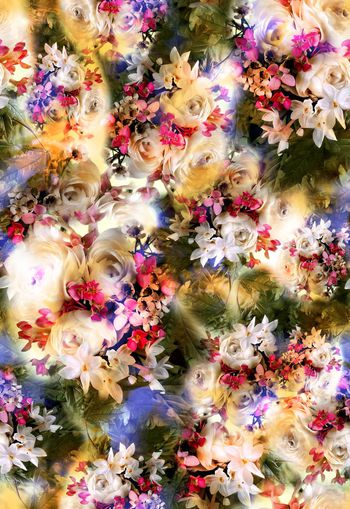 256358-多彩写实清新花卉花朵组合