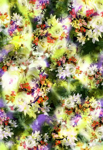 256359-多彩写实清新花卉花朵组合