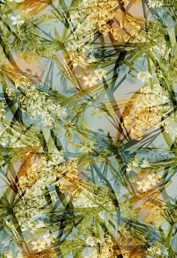 256500-清新叠加花卉花朵